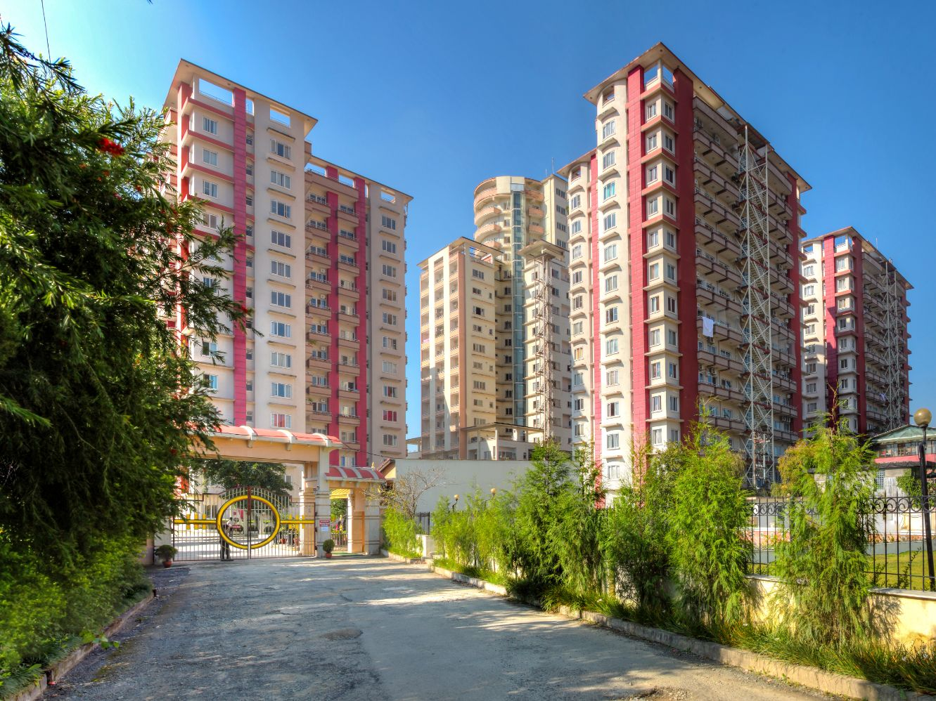 Development & Supplies